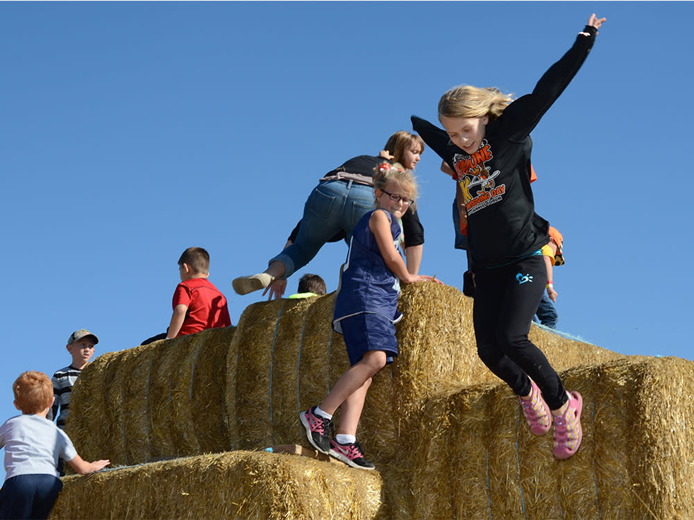 Straw Mountain at Beasley's Orchard
