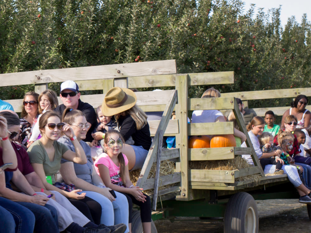 Hayride at Beasley's Orchard