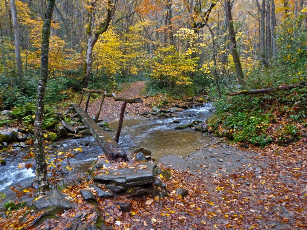 Cataloochee