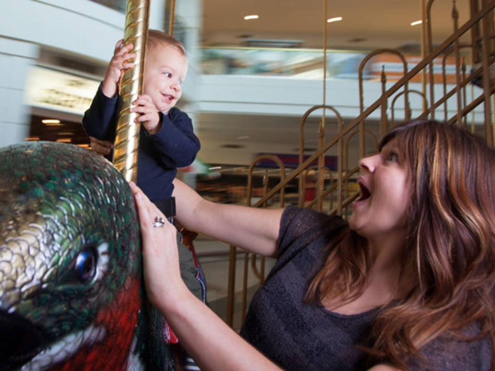 Glenbrook Carousel