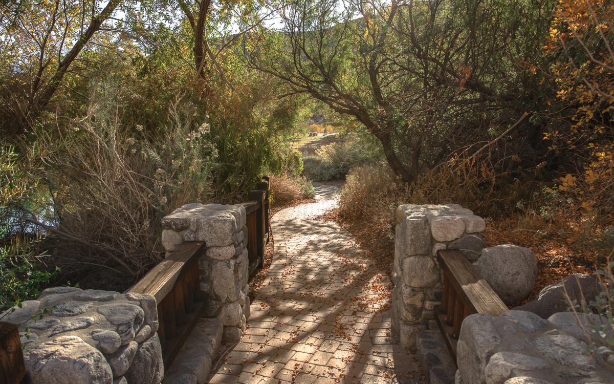 Trees and walkway in the Whitewater Canyon Preserve