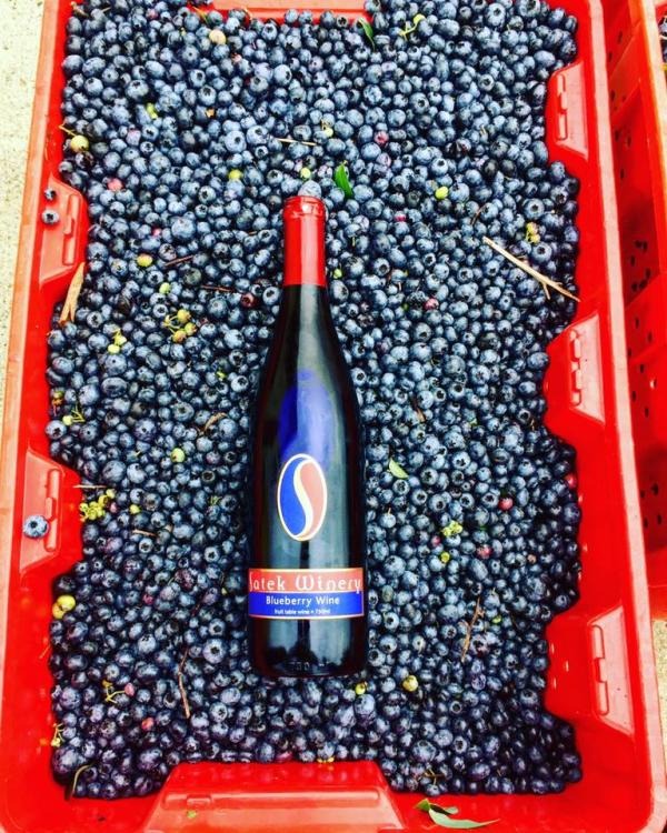 Satek Winery Blueberry Wine
