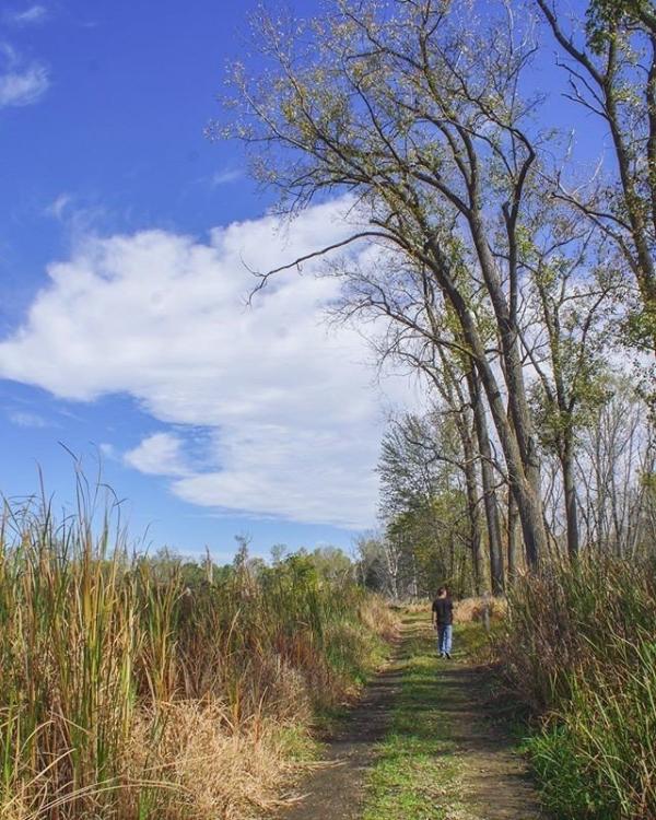 @sethsparacosm Fort Wayne Trail Fall Photo