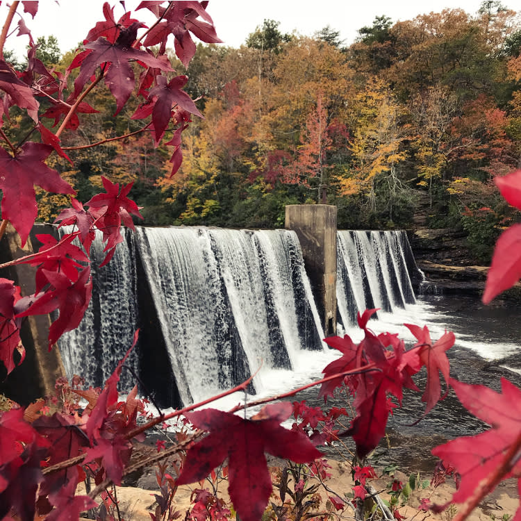 Fall foliage on the trees surrounding DeSoto Falls in Alabama