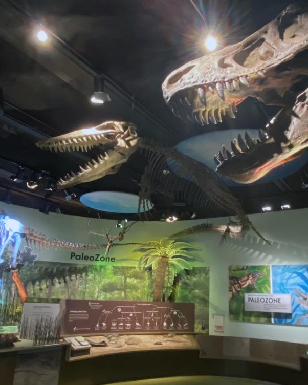 76ers Fieldhouse and Wilmington, Delaware a Perfect Paring | Blog
