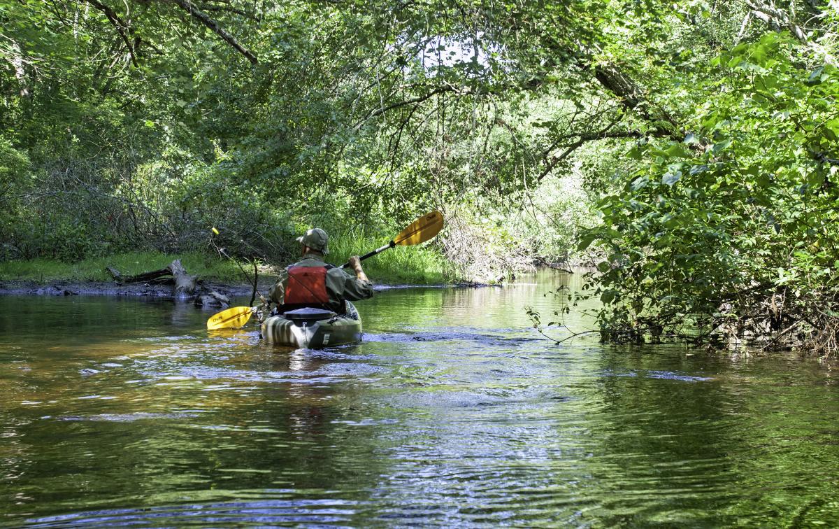 Frying Pan Pond Arcadia Kayaking