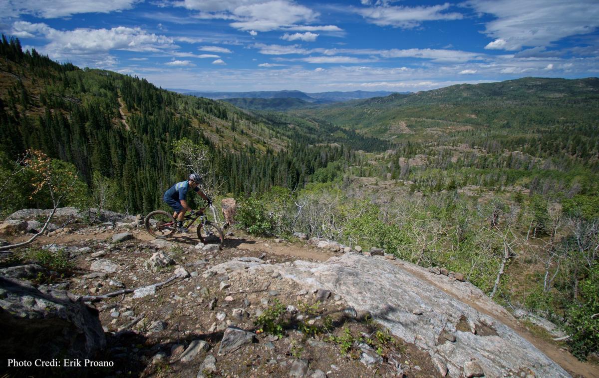 The new grouse trail on buffalo pass is for experts only