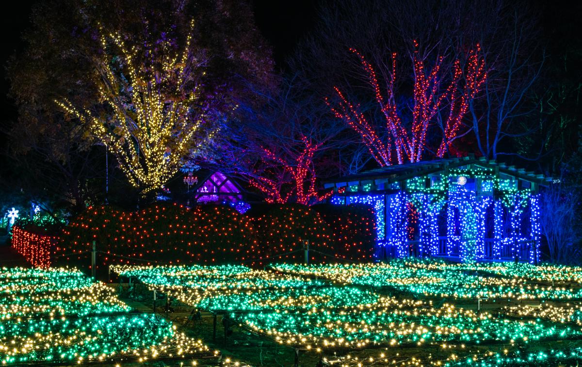 Winter Lights 2018