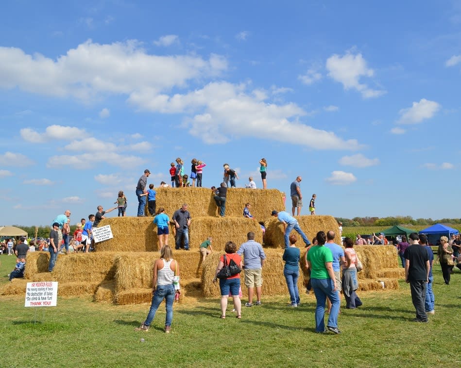 Beasley's Orchard Hay Mountain