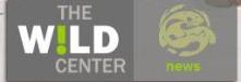 wild-center.JPG