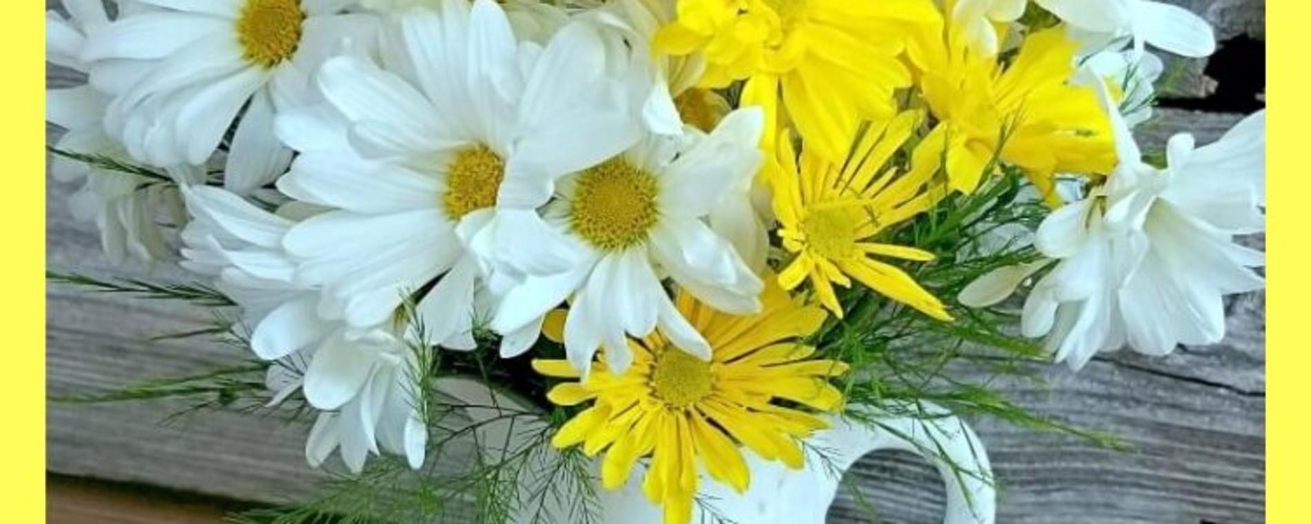 Pretty Bouquet of Daisies