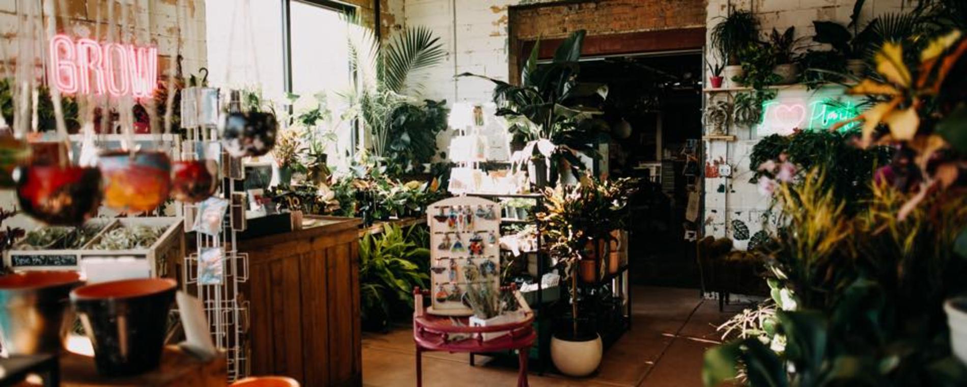 Grow Interior