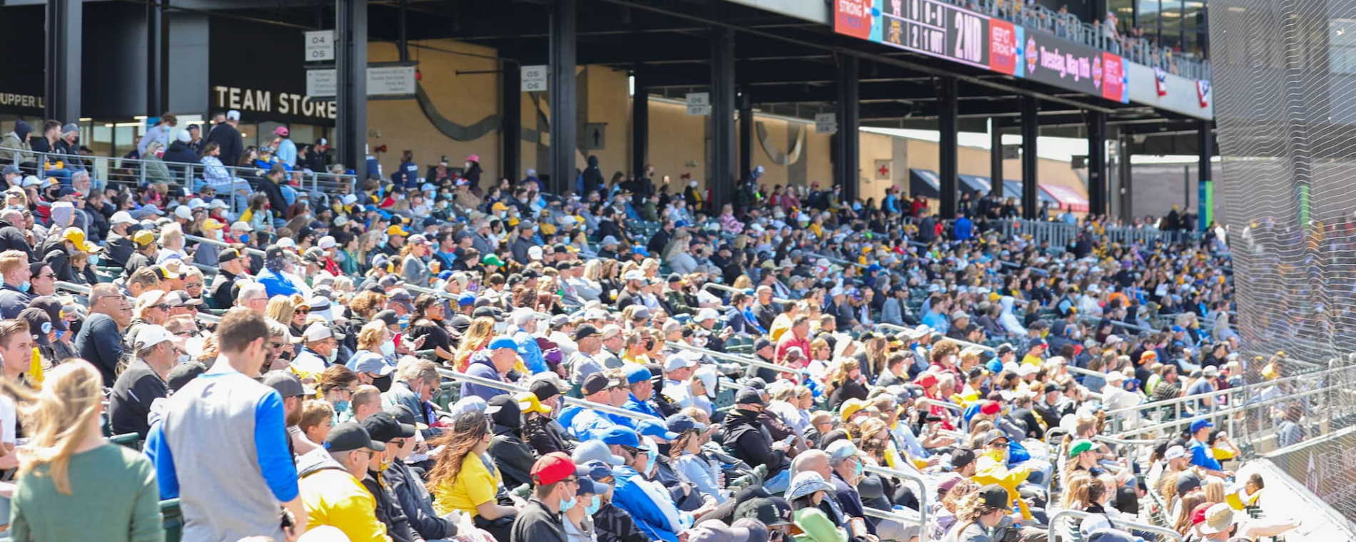 Fans at Riverfront Stadium