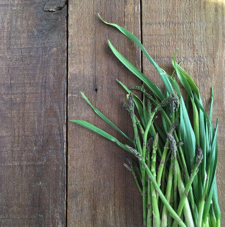 Wild Asparagus