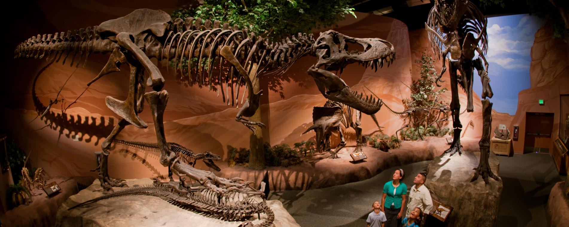 Thanksgiving Point S Museum Of Ancient Life Reopening May 8 Explore Utah Valley