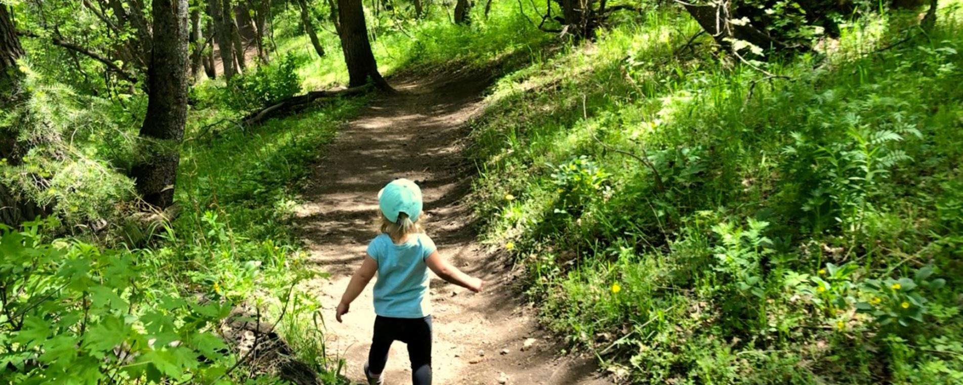 hiking with toddlers