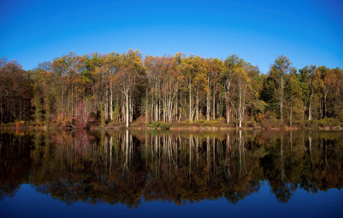 Rainbow Lake with tree lined silhouette and reflection in the water