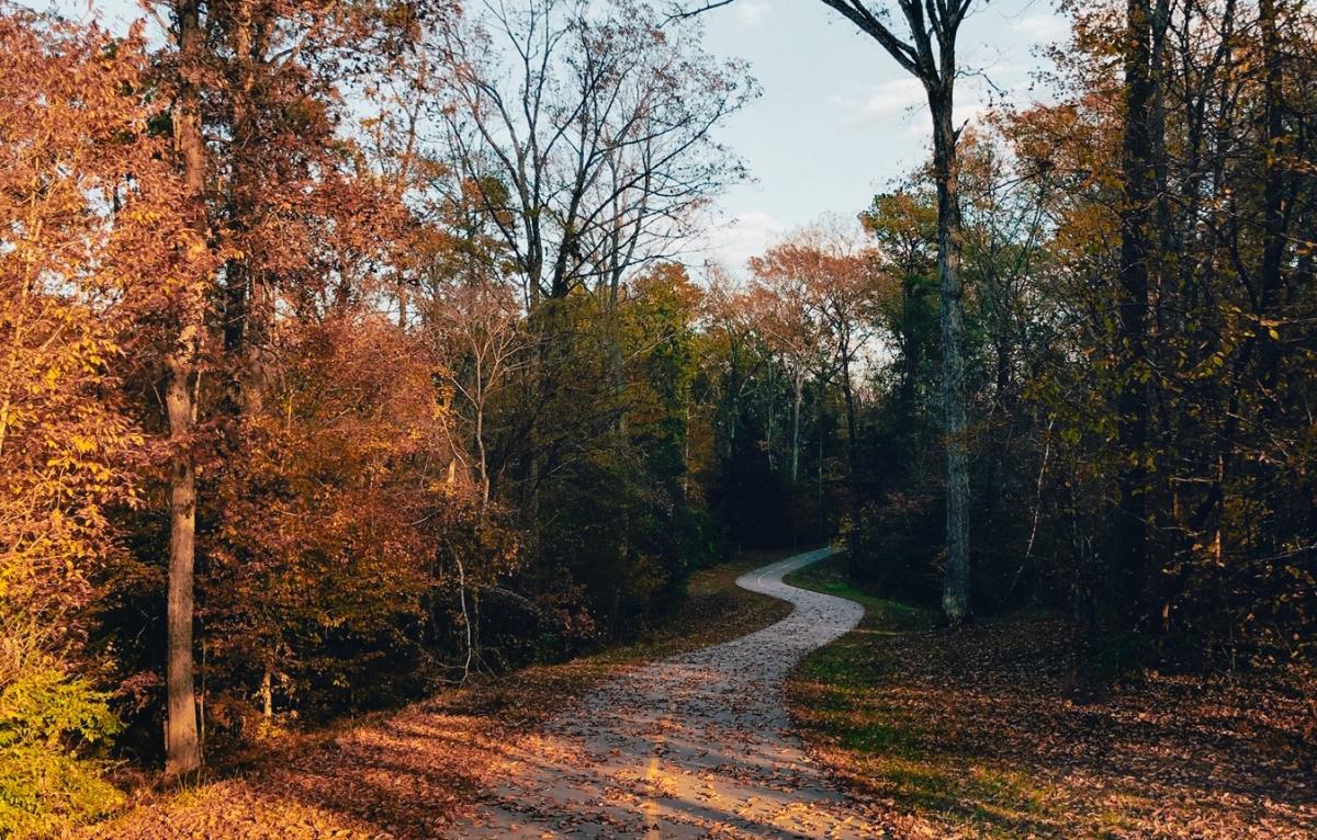 Raleigh Greenway System Map - 211098c9 796b 44a6 891a 715e513accc6 A176adb4 43f3 42ba A33b 1b29d0eb68d4 