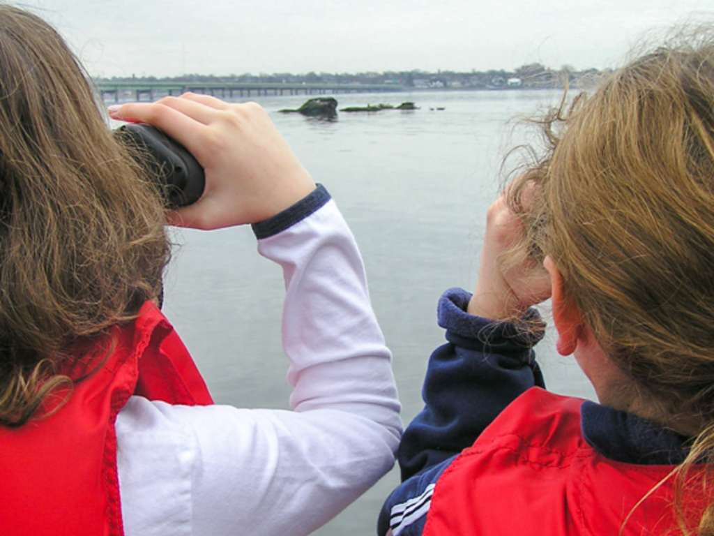 Save The Bay Seal Watch & Nature Cruise