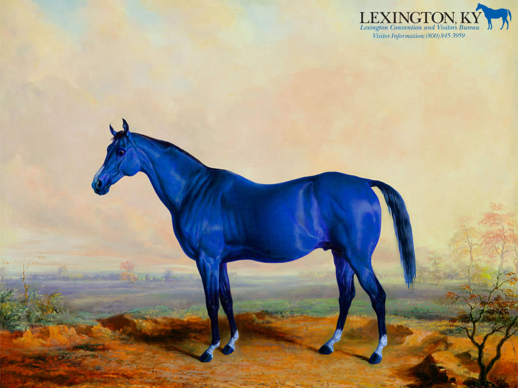 Wallpaper Lexington Ky Horse Capital Of The World