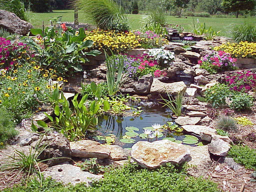 Parsons Arboretum