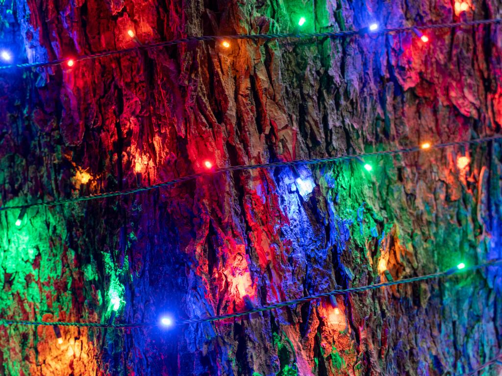 Plan Your Trip to Bastrop, TX | Restaurants, Hotels & Events