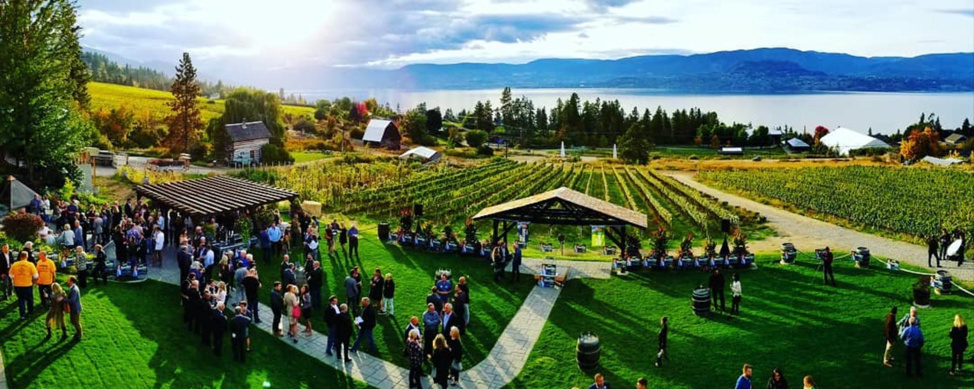 Vineyard Lawn