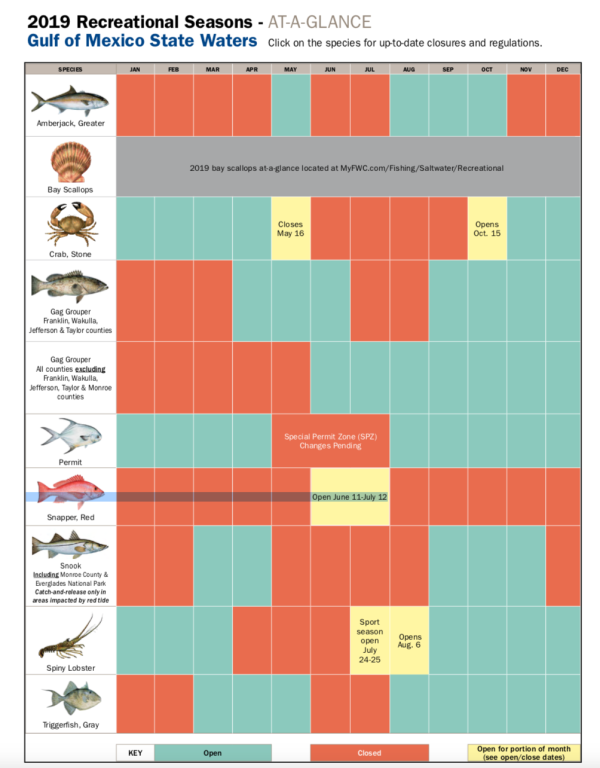 Florida Saltwater Fishing Regulations Chart