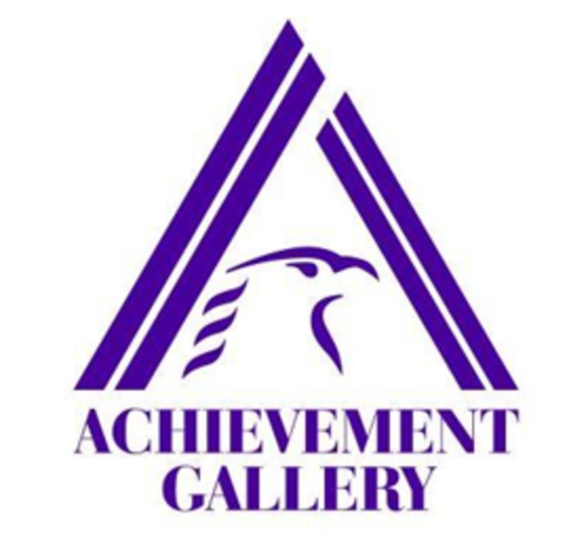 Achievement Gallery