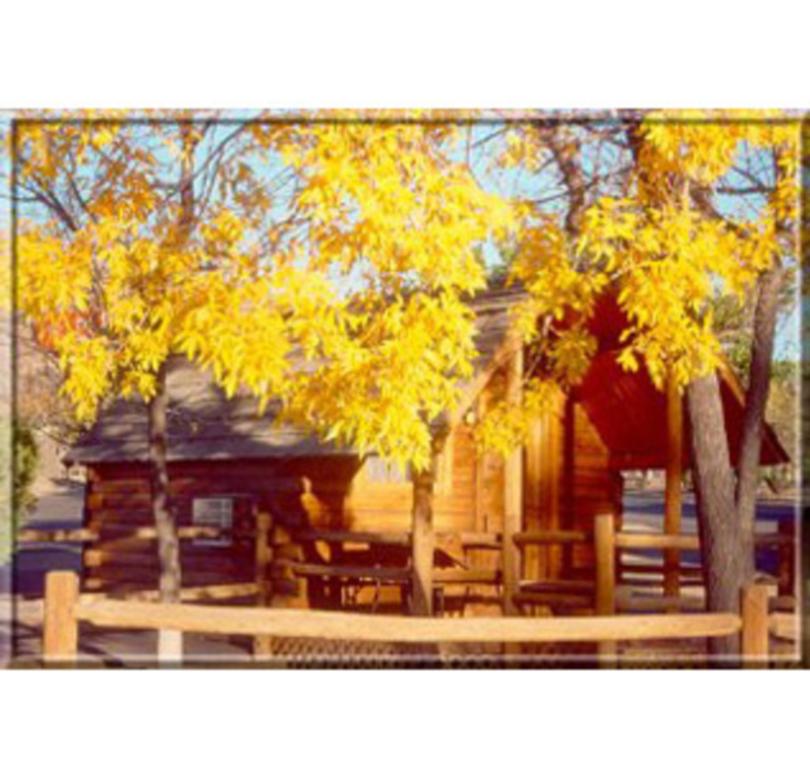 Albuquerque Koa