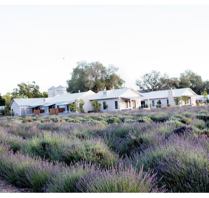Los Poblanos lavender fields
