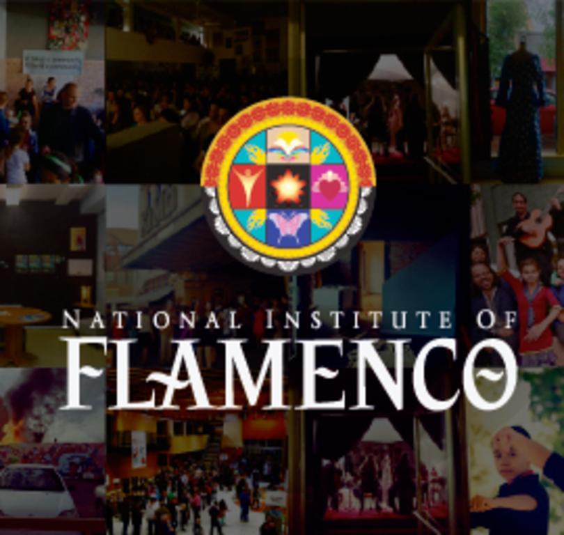 National Institute of Flamenco