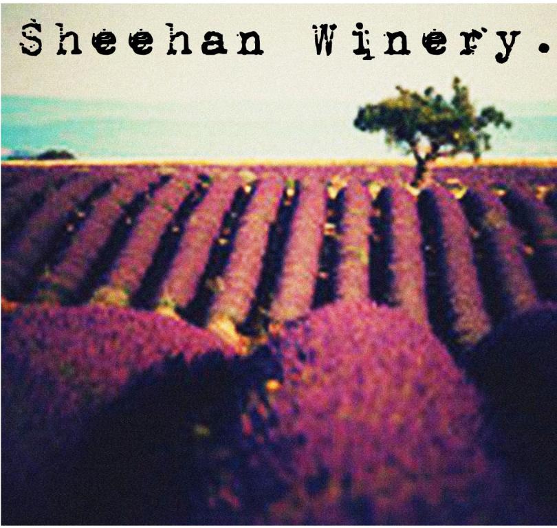 New Website 10