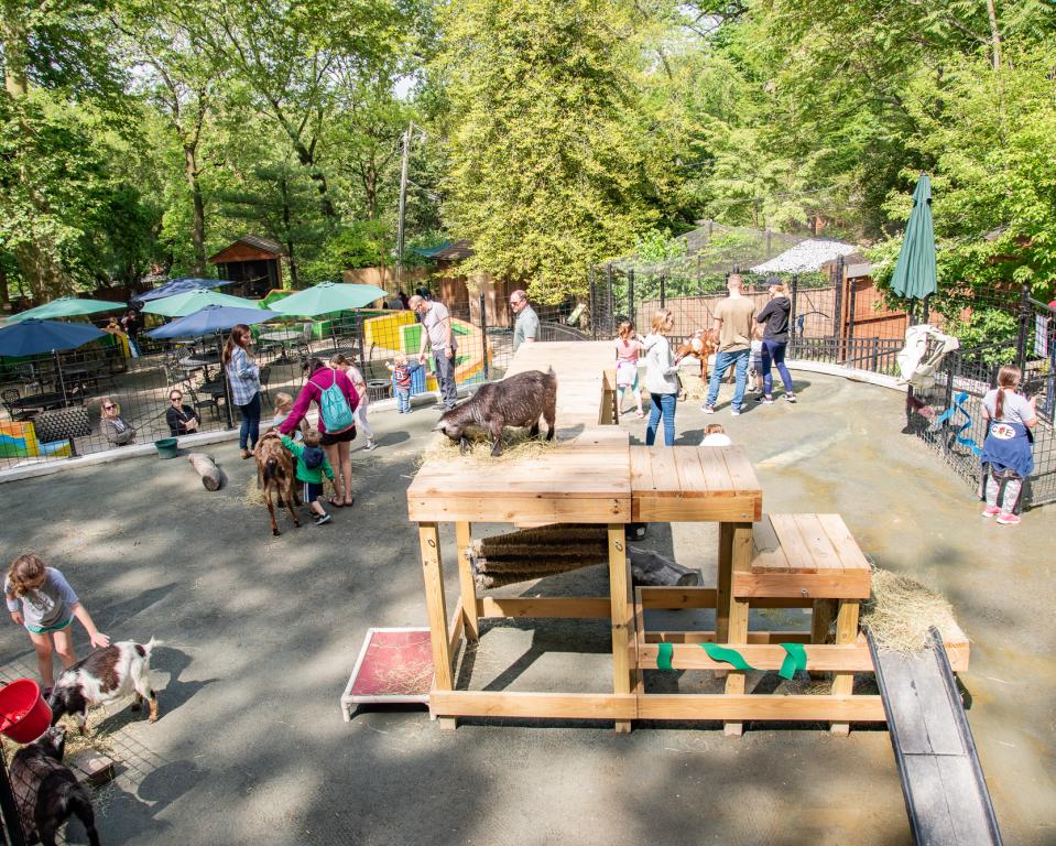 Brandywine Zoo Wilmington, DE 19802