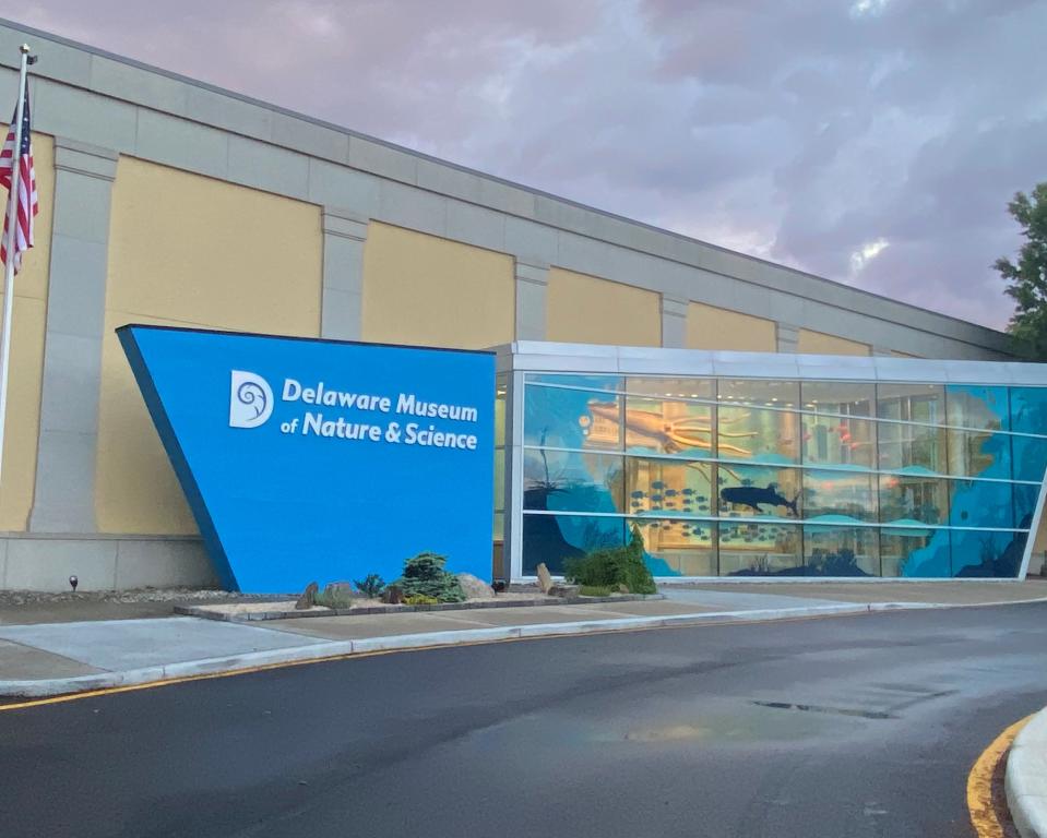 DelMNS exterior