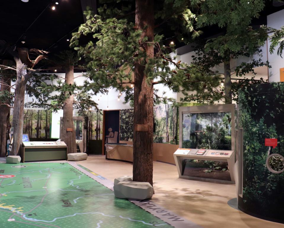 Regional Journey Gallery