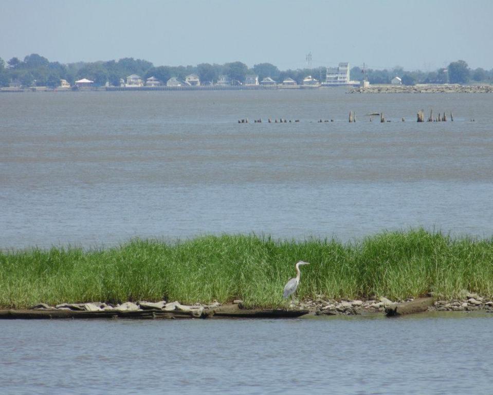 Delaware's Bayshore Byway