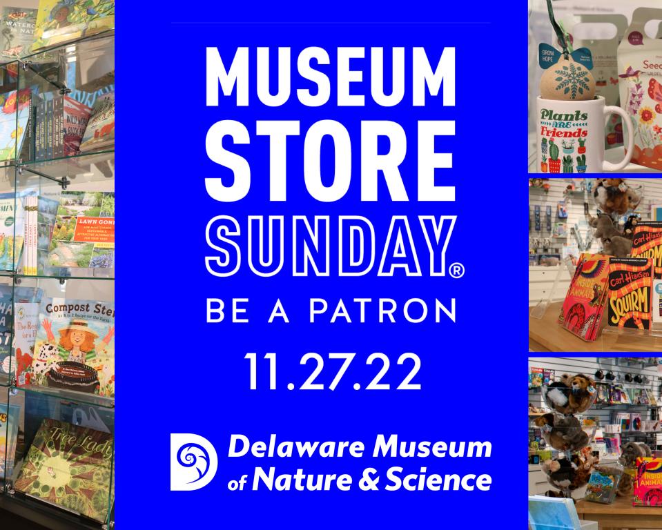 Museum Store Sunday | Wilmington, DE 19807