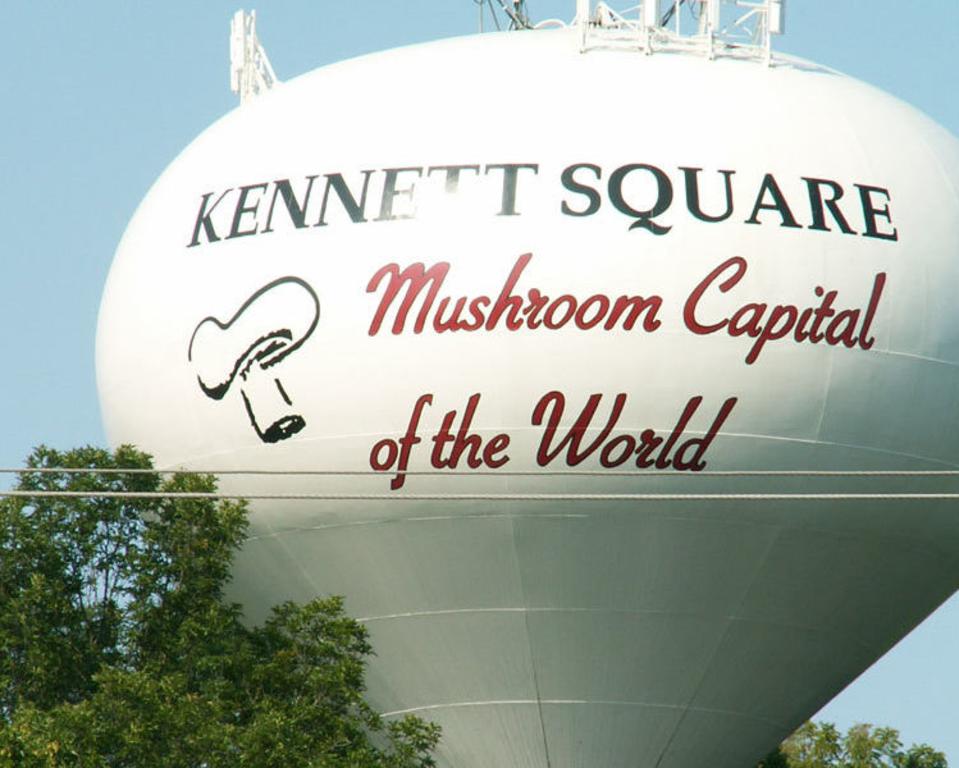 Mushroom Festival, Inc.