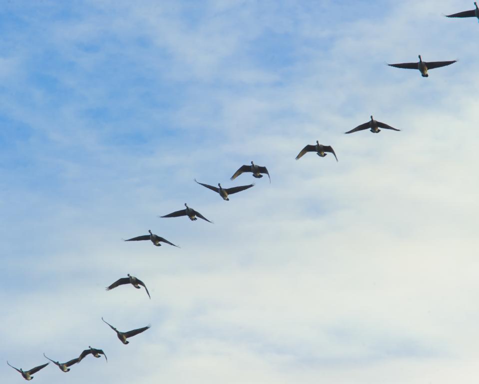 BOMBAY HOOK NATIONAL WILDLIFE REFUGE