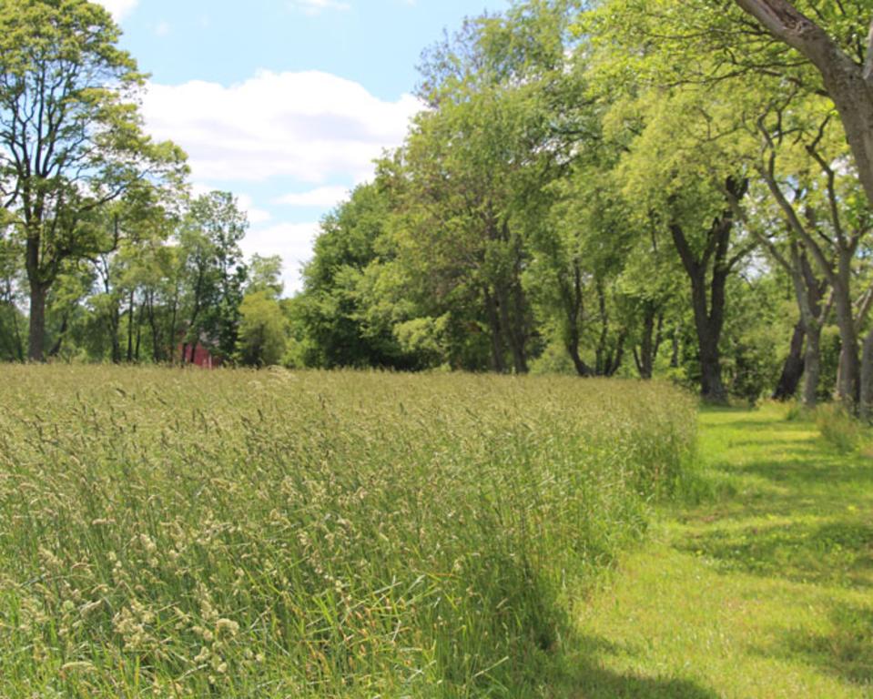 Beaver Valley (Woodlawn Tract)