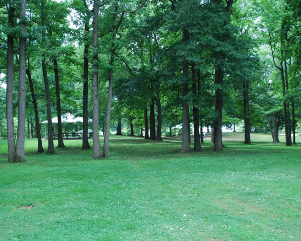 Becks Pond