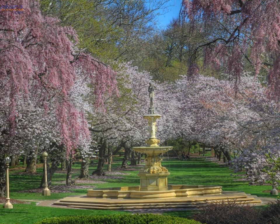 Brandywine Park