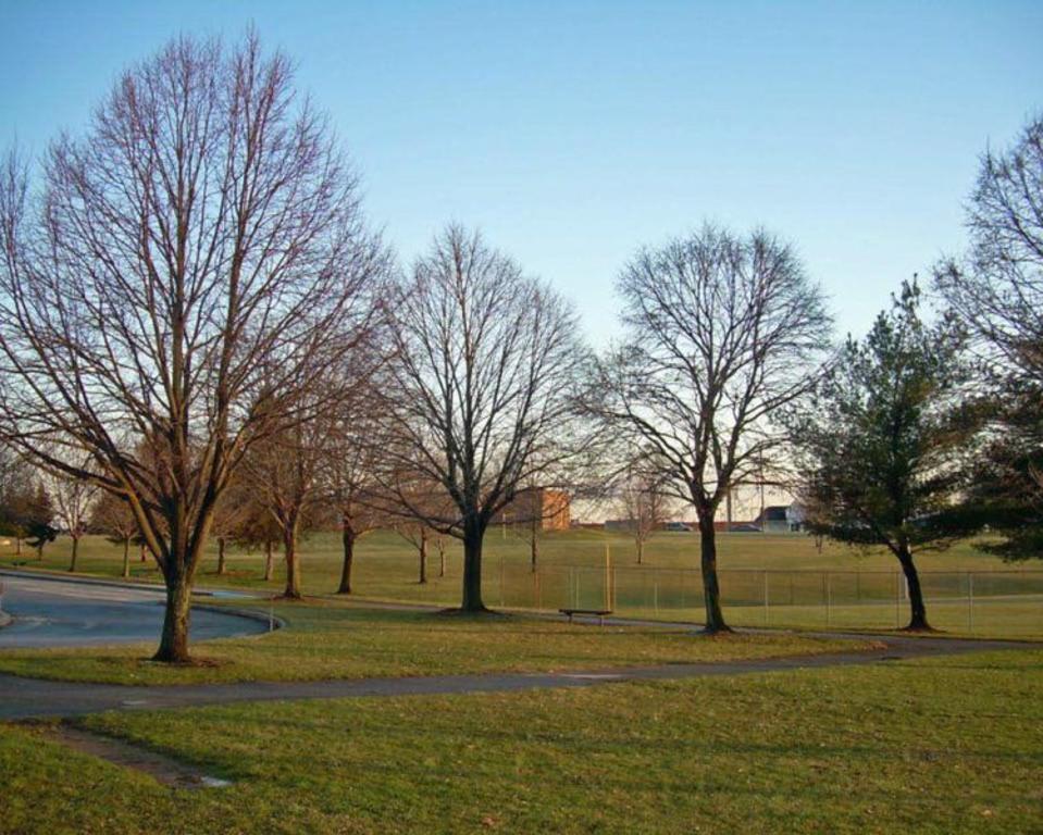 Greenbank Park