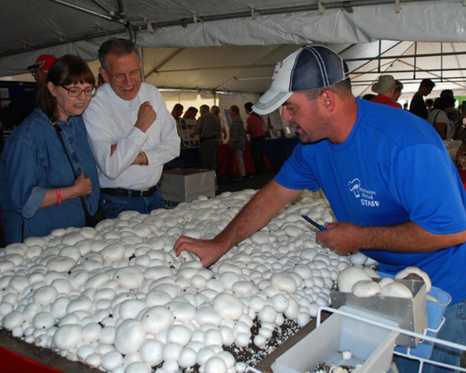 Learn about growing mushrooms in the Growers' Exhibit