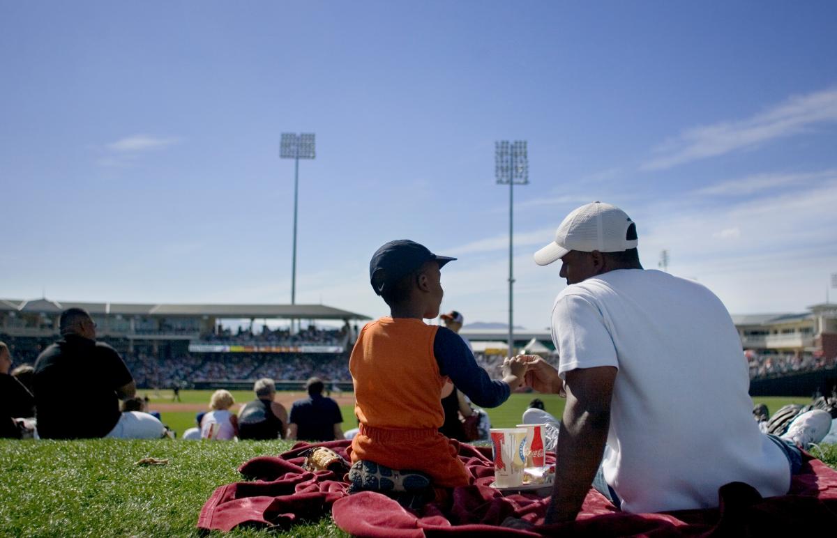 Spring Training, Surprise Stadium 01