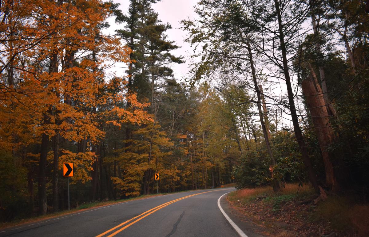 Take a Scenic Drive and Explore the Fall Foliage in the Pocono Mountains