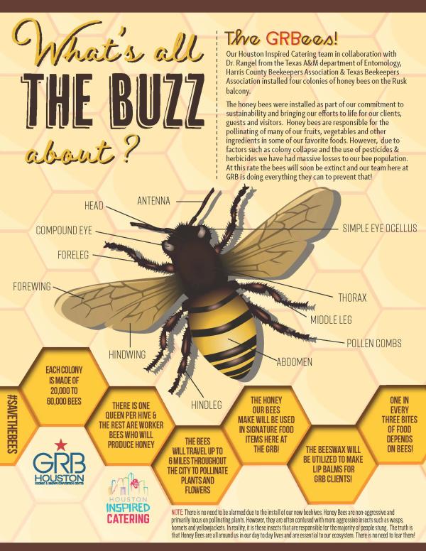 bees fact sheet