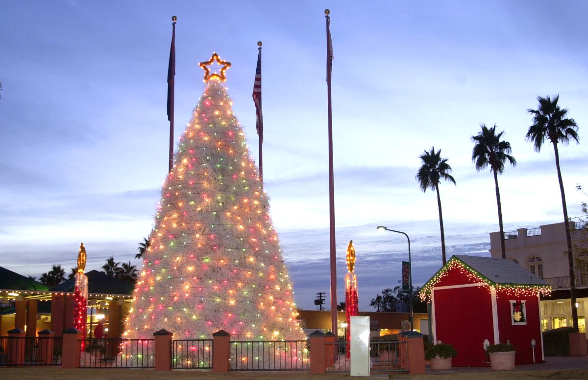 Tumbleweed Tree and Santa's House in Chandler