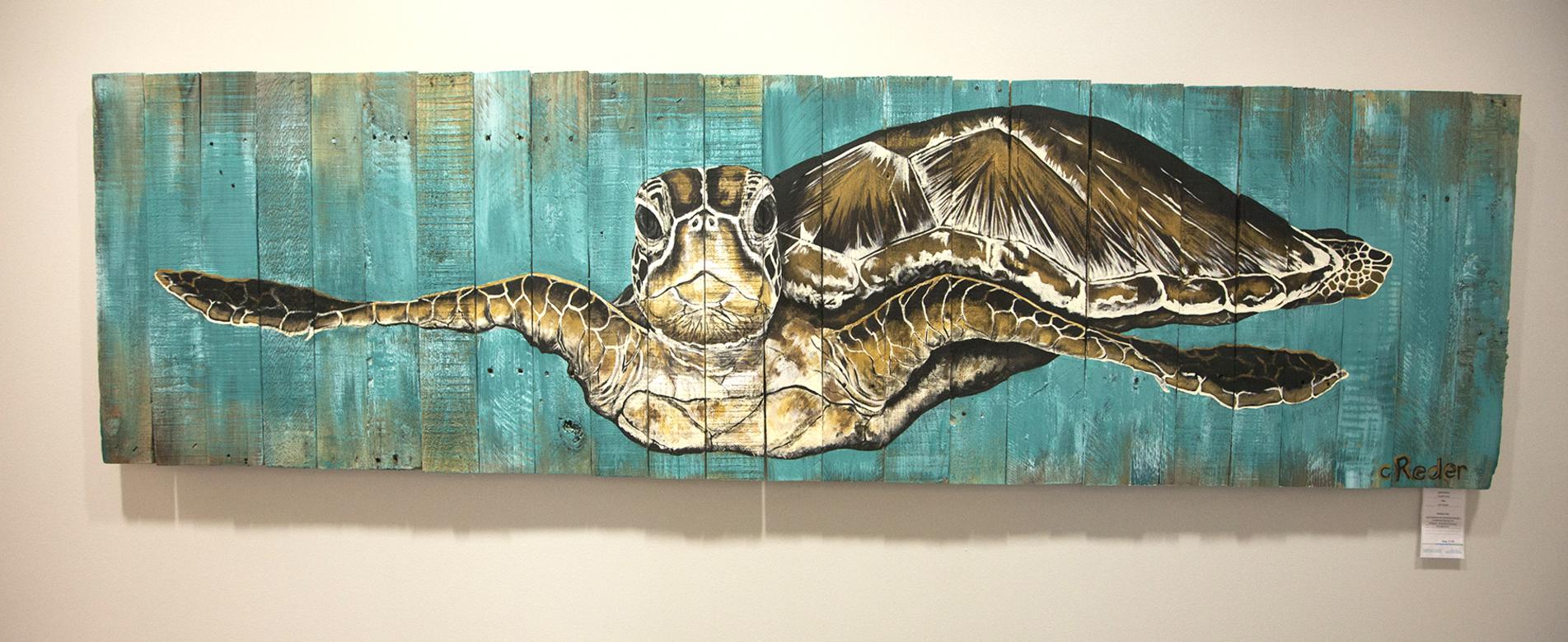 Three Surprising Facts About Sea Turtles